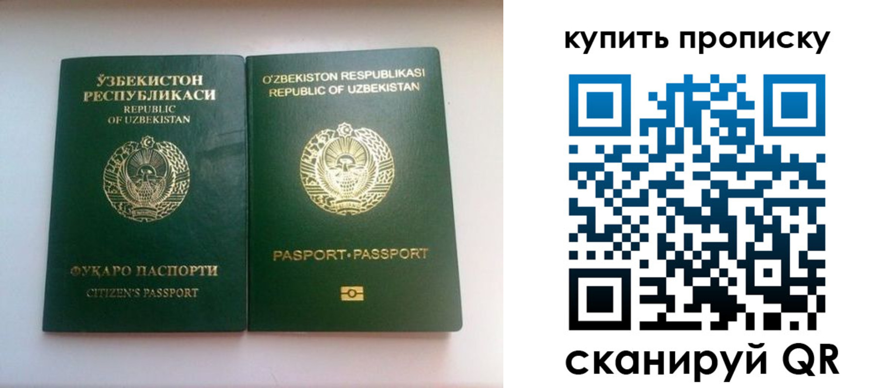 прописка в квартире в Алексеевке